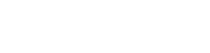 WSOY_logo